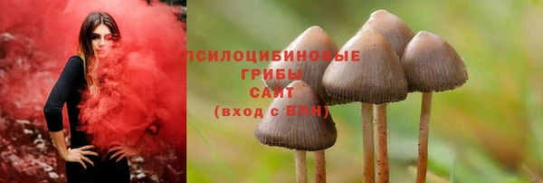 тгк Михайловка