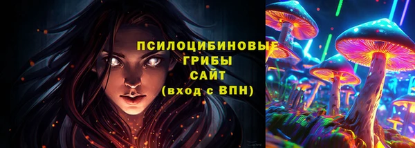 стафф Верхний Тагил